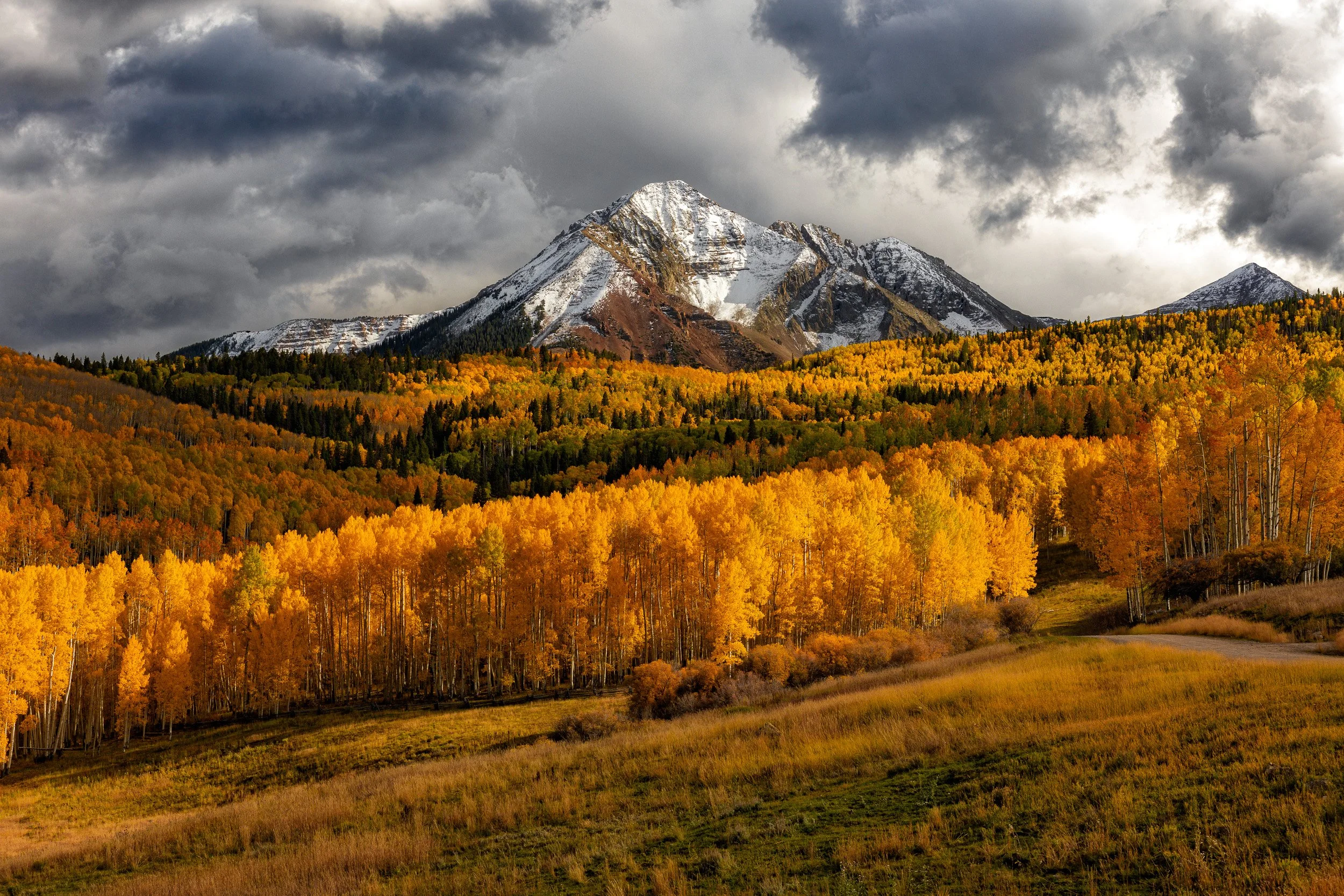 Horizontal landscape photograph of vast golden aspen groves blanketed across rolling hills leading toward snow-dusted Sunshine Mountain under dramatic storm clouds near Telluride, Colorado by Chris Ewen Crosby.