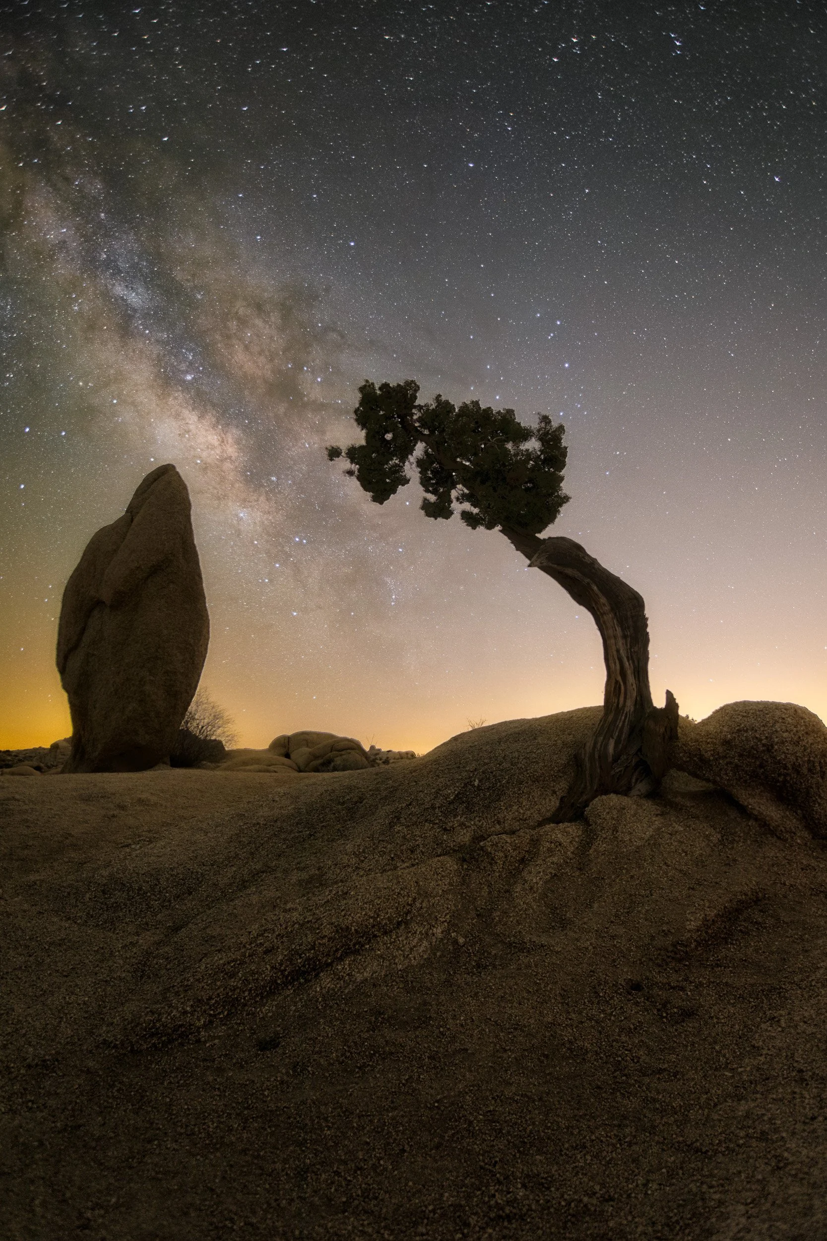 Vertical night astrophotography photograph of a curved California juniper tree and granite rock monolith silhouetted against the Milky Way core in Joshua Tree National Park by Chris Ewen Crosby.