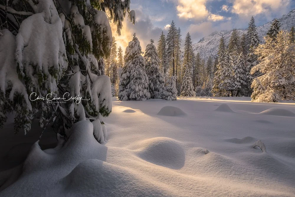 A dramatic black and white landscape of Yosemite trees covered in deep snow with a single, bright beam of sunlight illuminating a central "window" in the forest.
