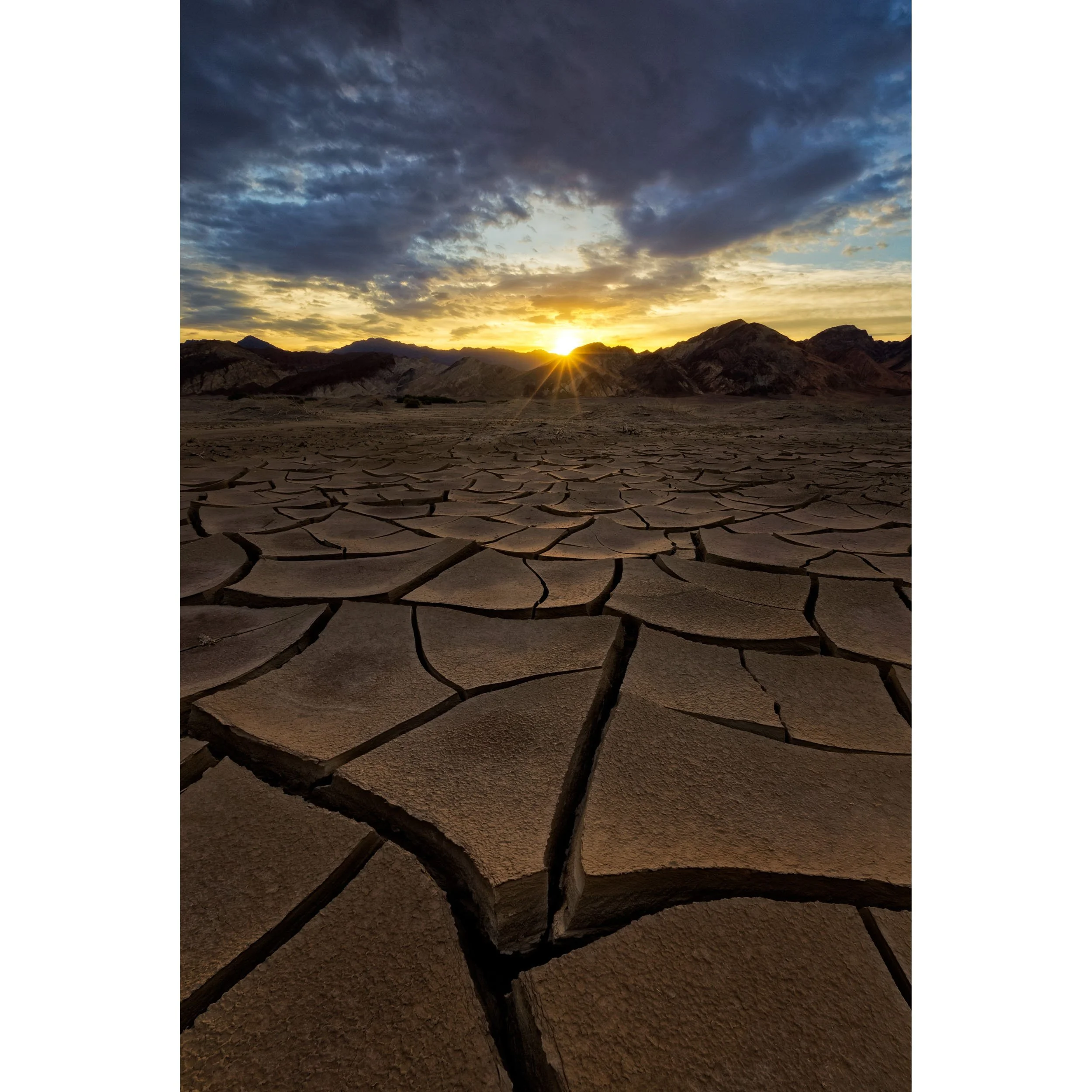 Vertical photo of golden sunrise light illuminating intricate mud cracks in a desert playa.