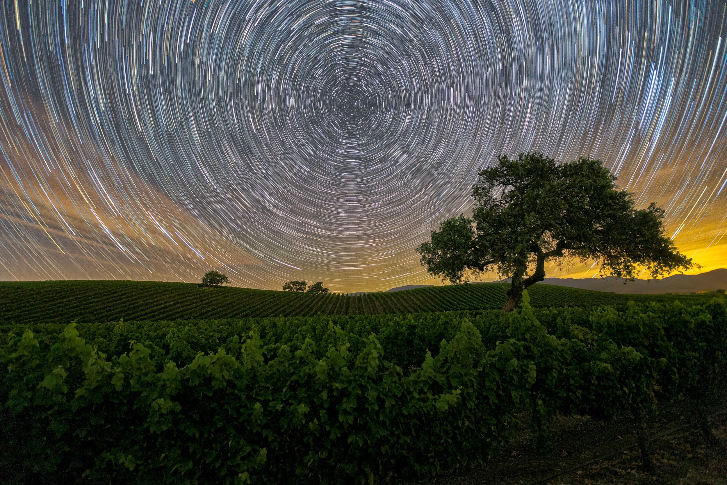 Horizontal night astrophotography photograph of mesmerizing circular star trails spinning over rolling oak trees and lush green vineyard rows in Santa Ynez Valley, California by Chris Ewen Crosby.