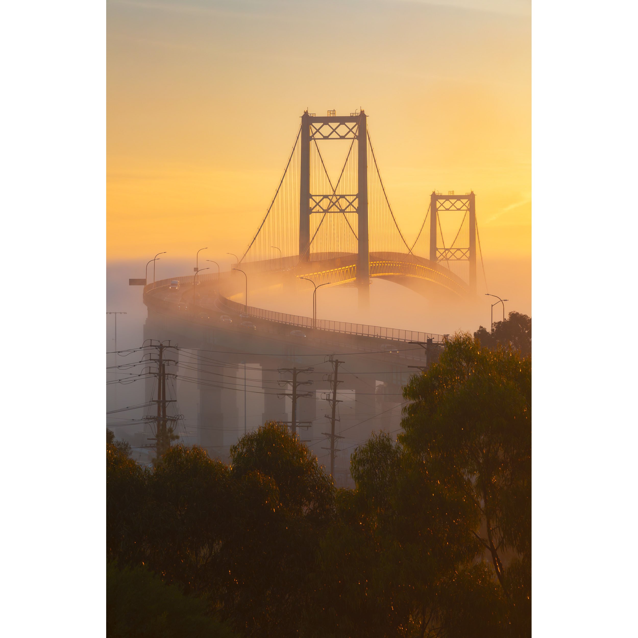 Bridge Above the Mist