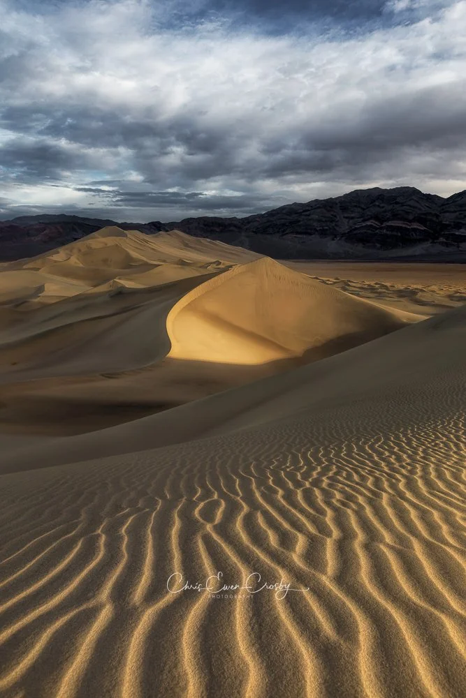High-contrast desert photography showing the sharp ridges and deep shadows of sand dunes in Death Valley at sunrise.