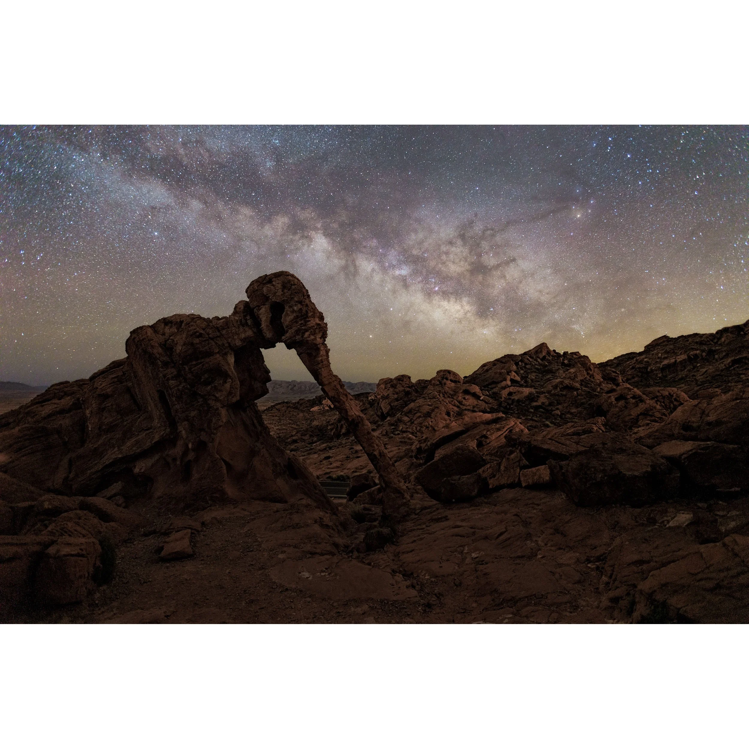Elephant Milky Way