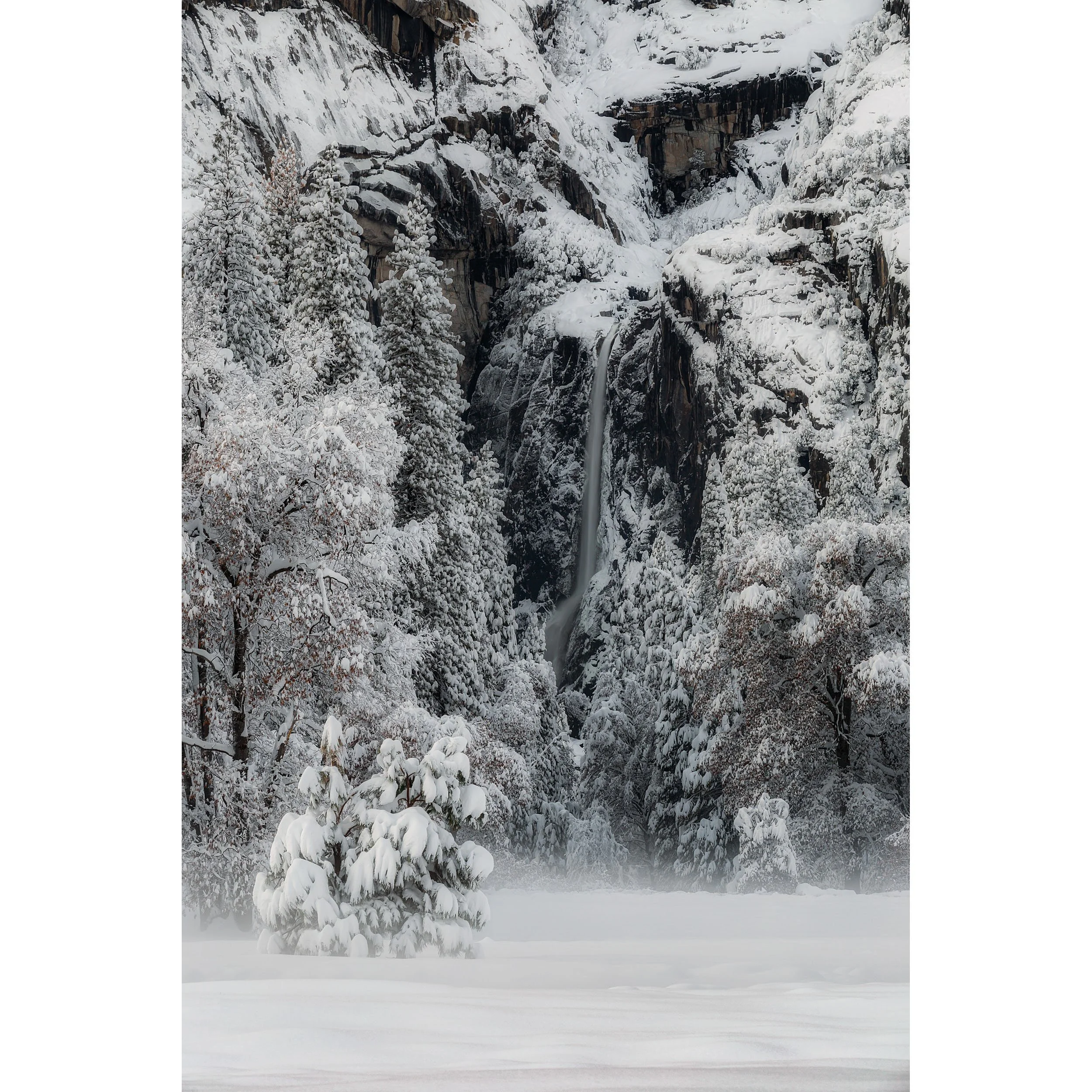 Vertical winter landscape photo of a snow-covered waterfall framed by frosted pine trees and cliffs.