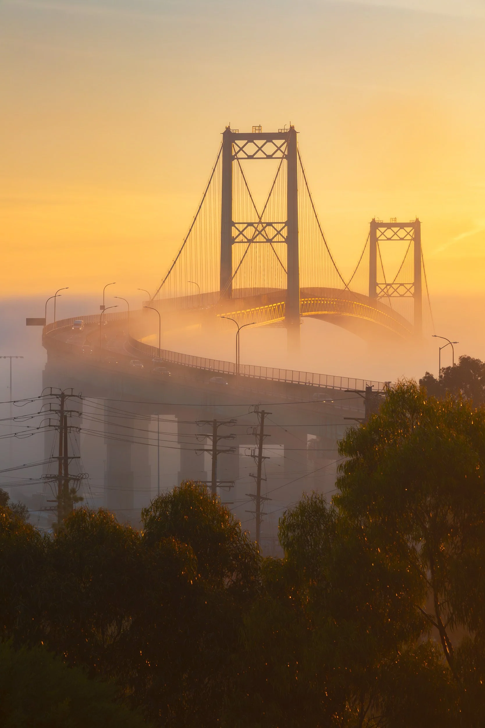A foggy sunrise at the Vincent Thomas Bridge in San Pedro, California.  A rare low fog morning that allows the bridge to appear out of the fog by Chris Ewen Crosby.
