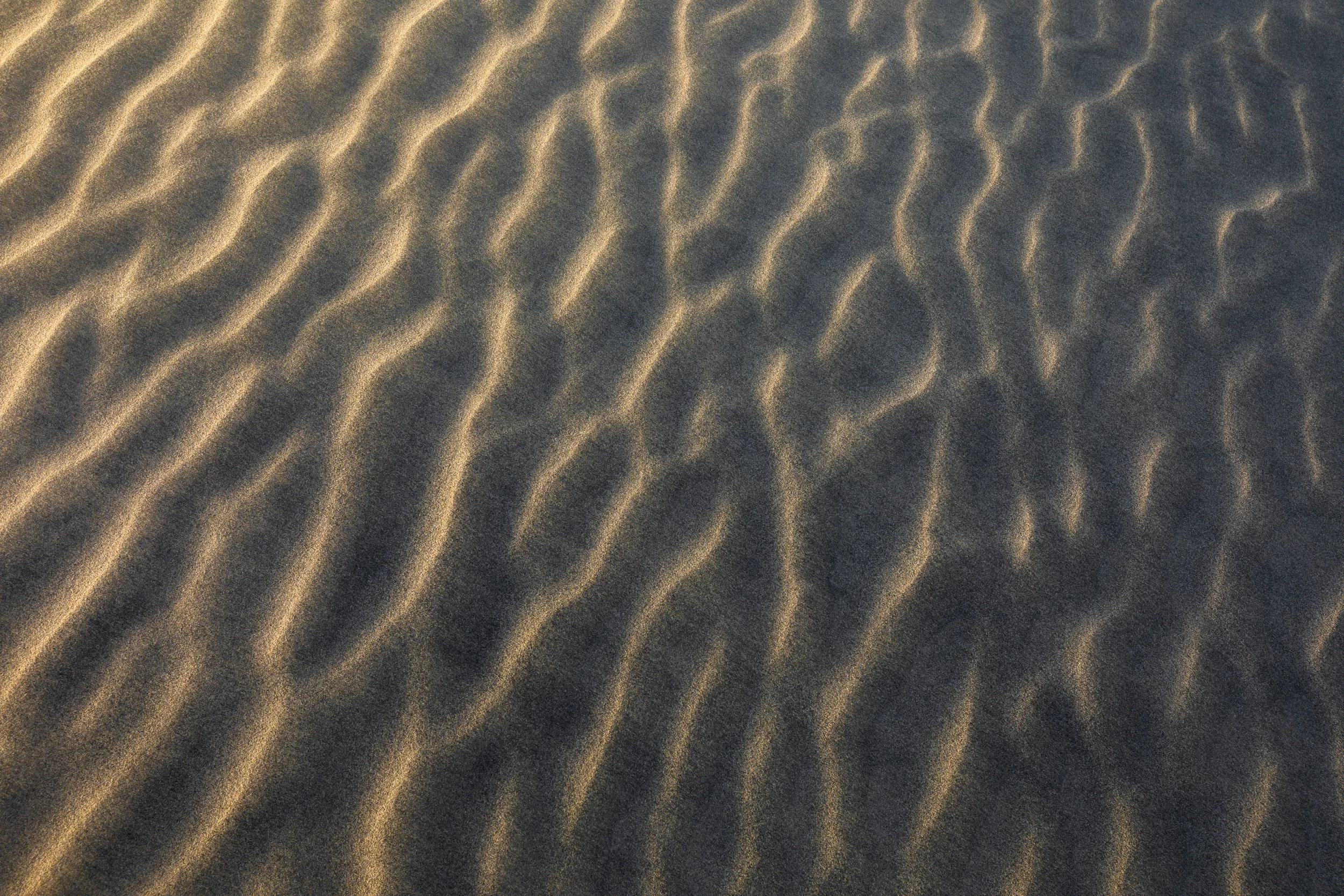 Golden Hour Sunlight Accentuating Fine Sand Dune Ripple Textures and Shadows