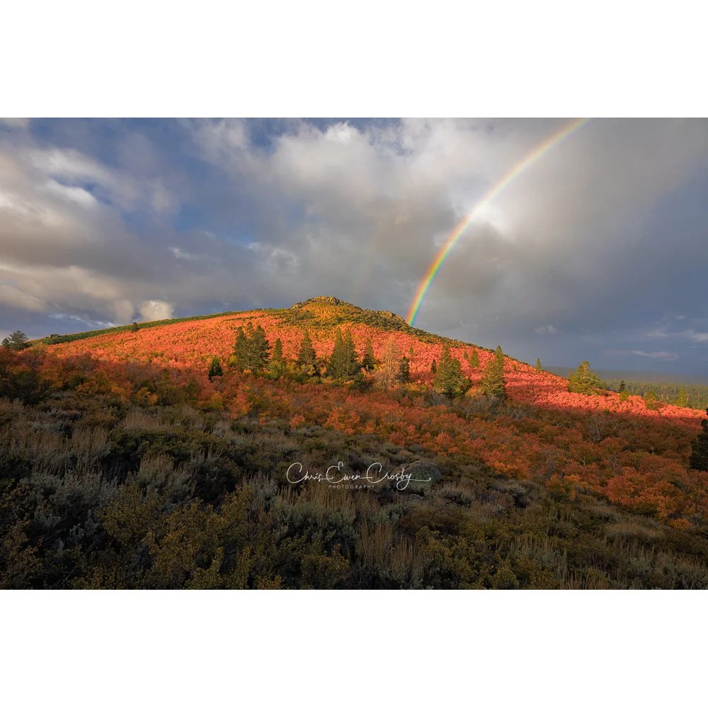 Fall Over The Rainbow