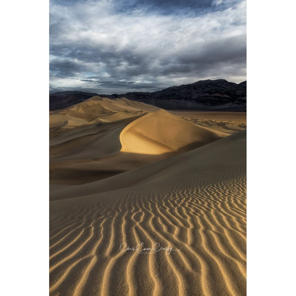 High-contrast desert photography showing the sharp ridges and deep shadows of sand dunes in Death Valley at sunrise.
