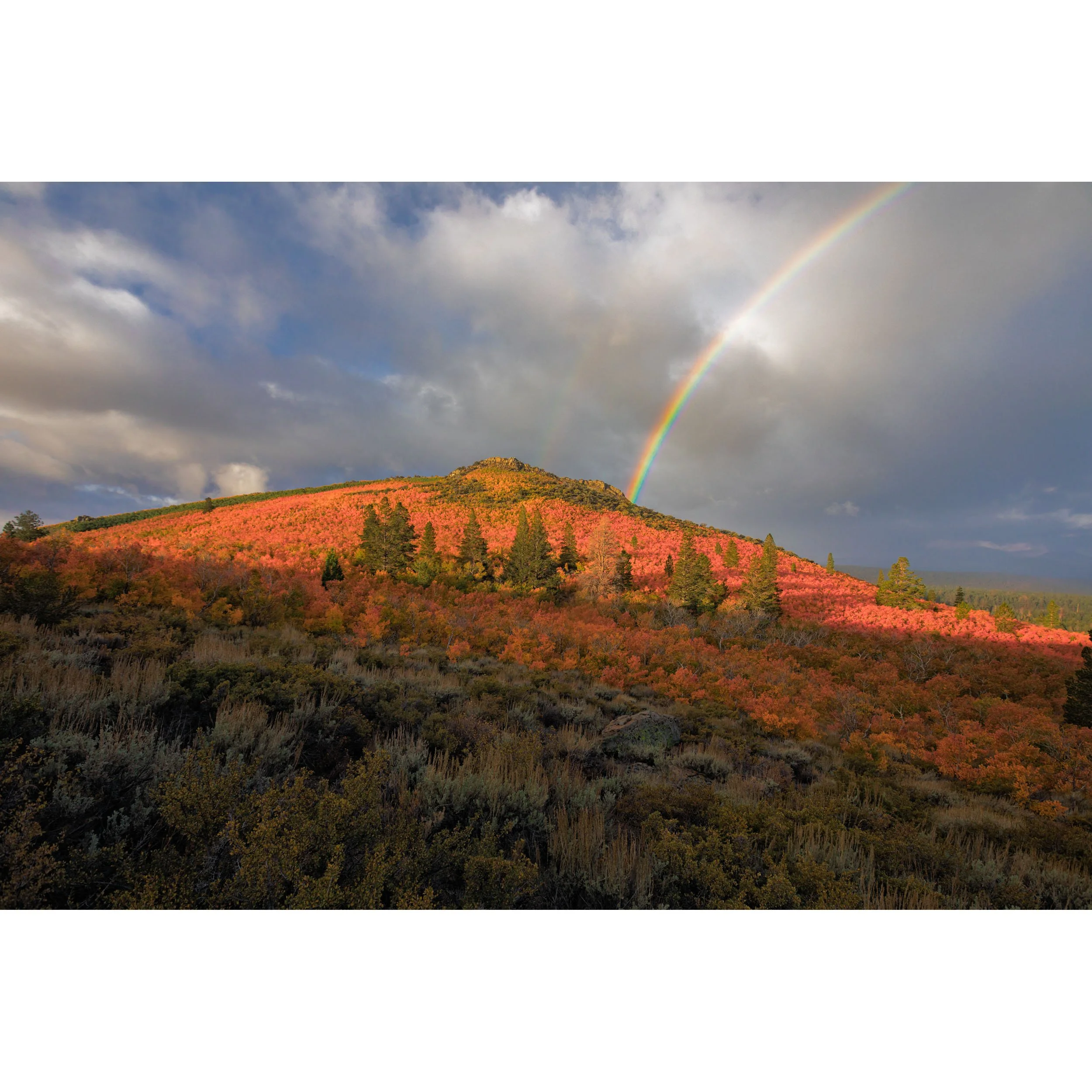 Fall Over The Rainbow