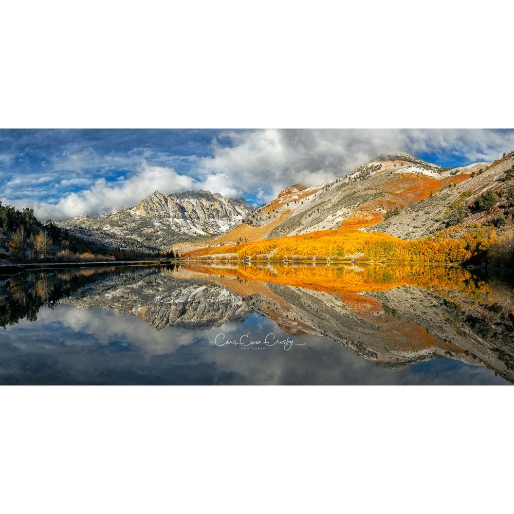 Panoramic autumn landscape of golden aspen trees reflected in a calm alpine lake in the Eastern Sierra Mountains, California.