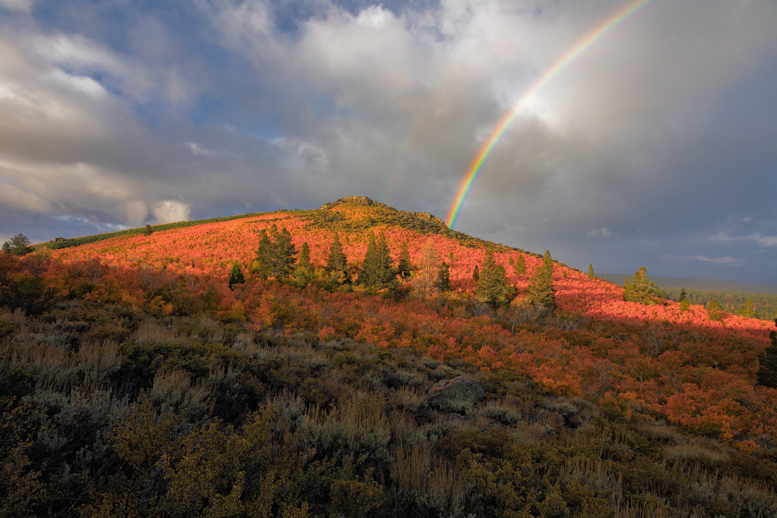 Landscape photograph of a vibrant rainbow arching over a hillside illuminated in fiery red and orange autumn foliage in the Eastern Sierra by Chris Ewen Crosby.