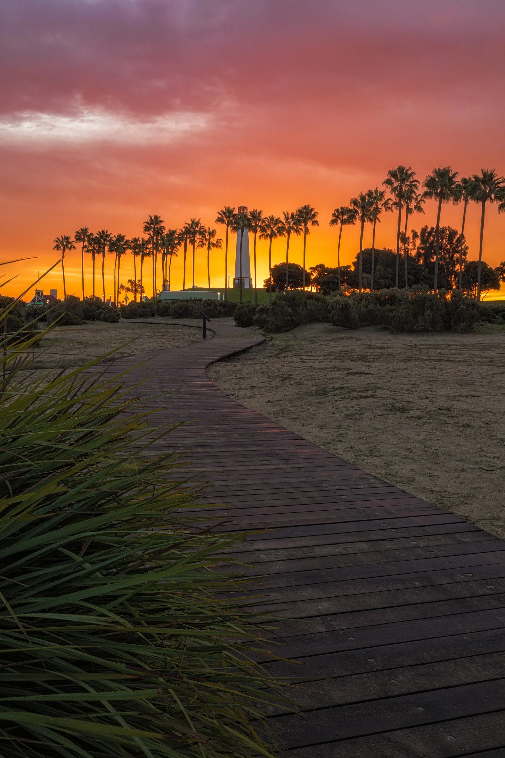 Vertical shot looking down a curved wooden boardwalk path toward palm trees and the Lions Lighthouse under a fiery orange sunrise sky in Long Beach by Chris Ewen Crosby.