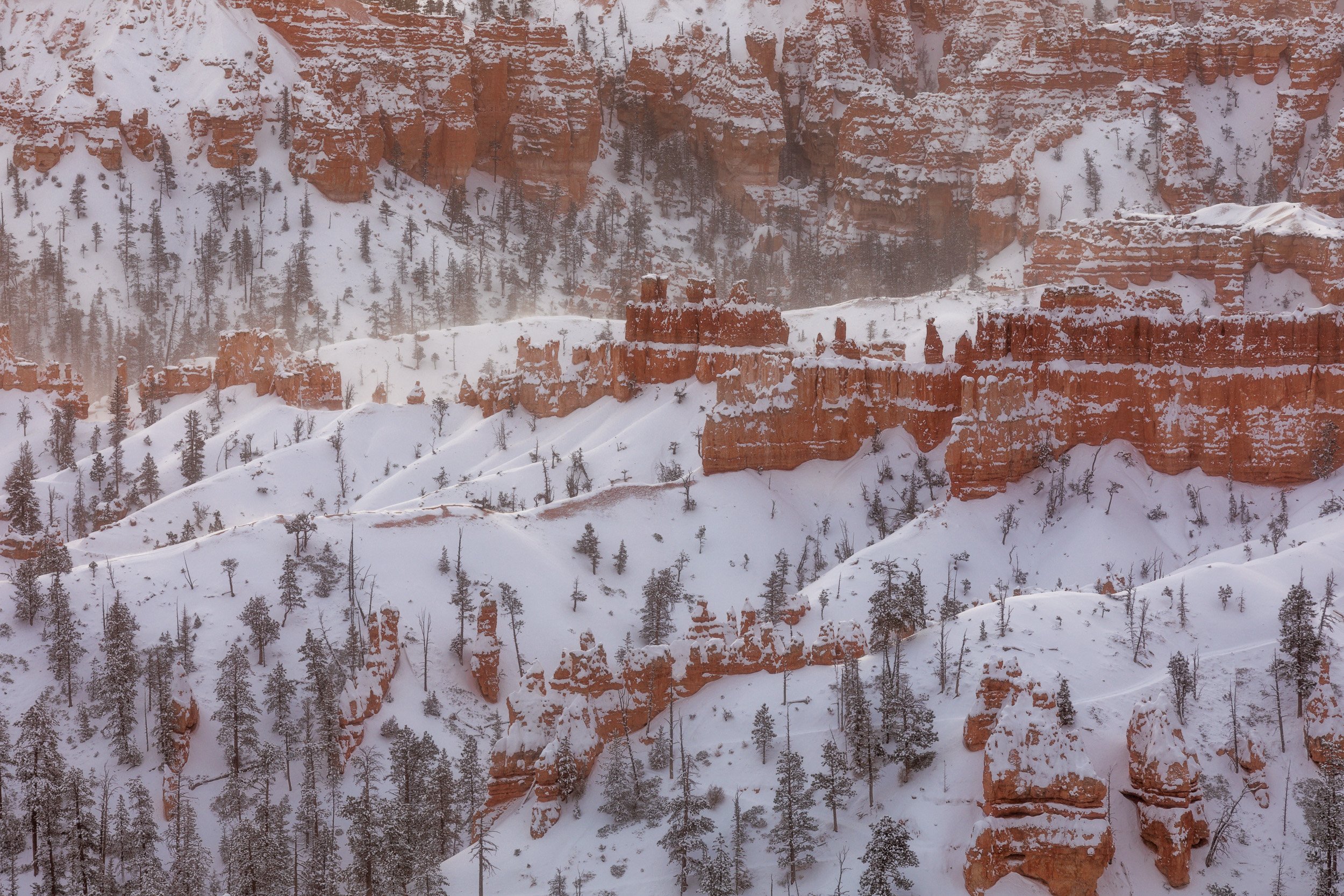 Horizontal landscape photograph of snow-covered red rock hoodoos and pine trees with blowing snow in Bryce Canyon National Park by Chris Ewen Crosby.