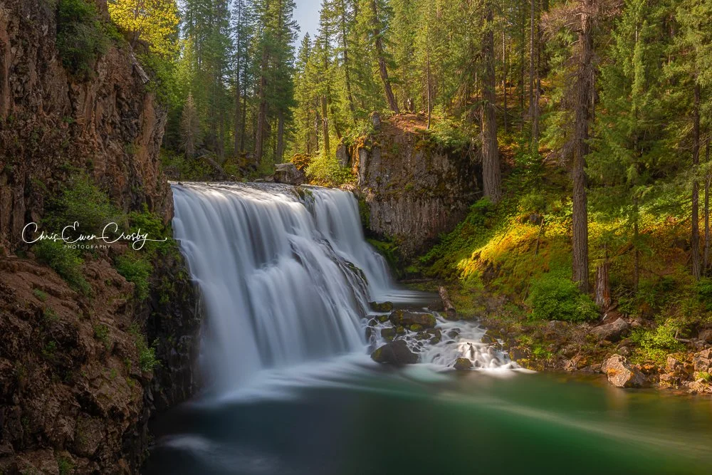 Wide landscape photo of Middle McCloud Falls with a massive curtain of water over volcanic rock and green spring foliage.