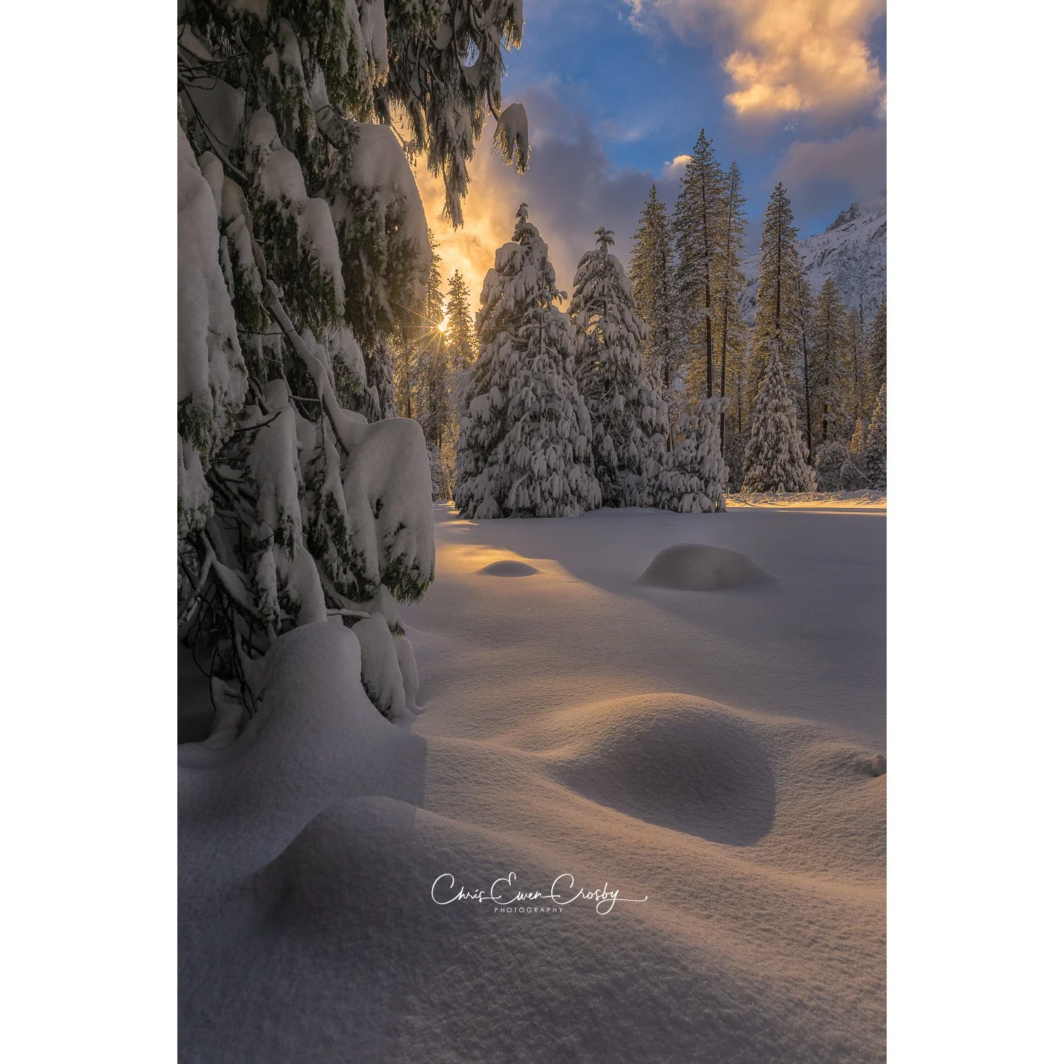 Window of Light - Tall