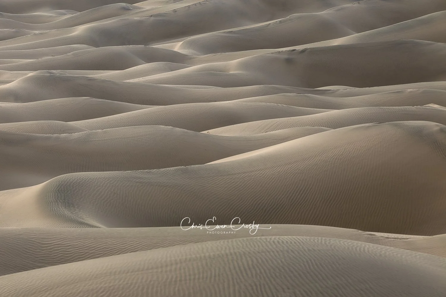 Abstract landscape of compressed sand dune ridges in Death Valley, showing rhythmic lines, layers, and sharp textures.