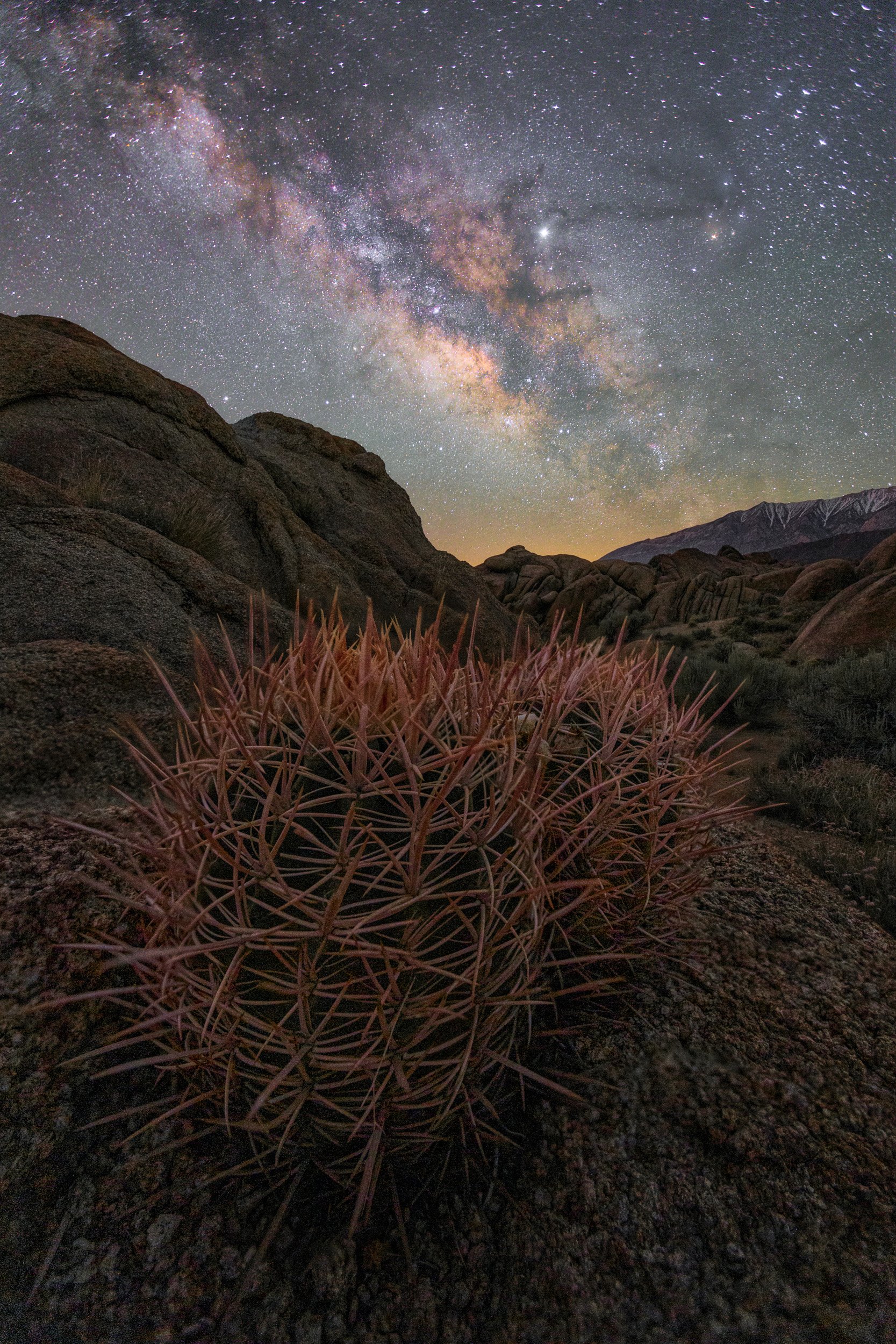 Vertical night astrophotography photograph of a detailed spiky barrel cactus in the foreground of the Alabama Hills with the Milky Way galaxy stretching over granite rock formations by Chris Ewen Crosby.