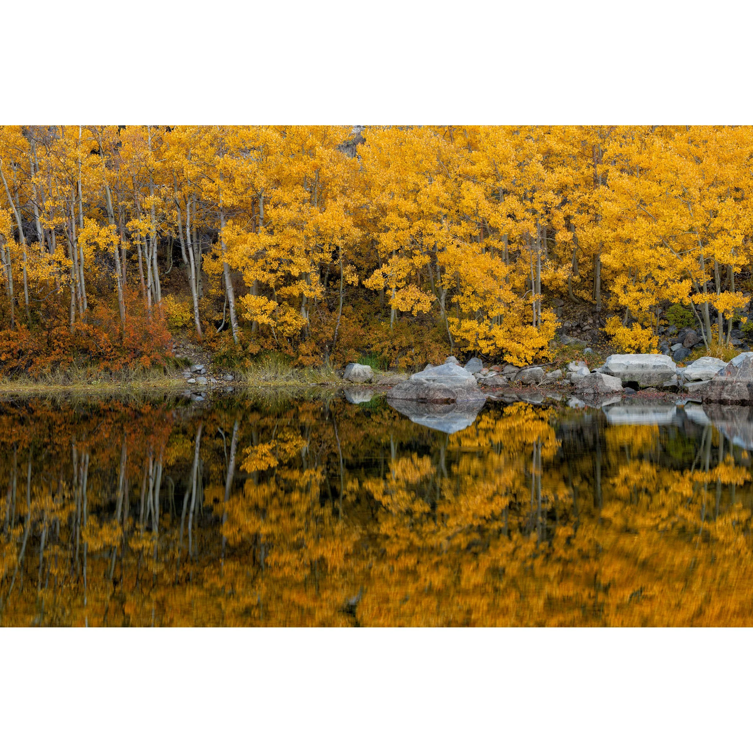 Fall Reflections