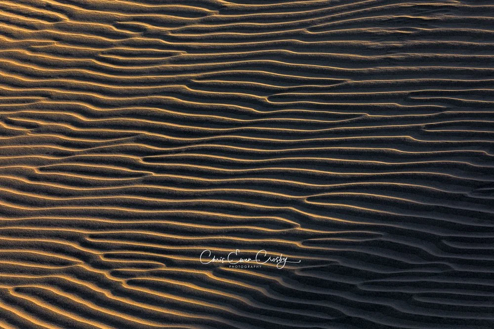 Landscape abstract photo of sand dune ridges in Death Valley glowing with golden hour light and deep shadows.