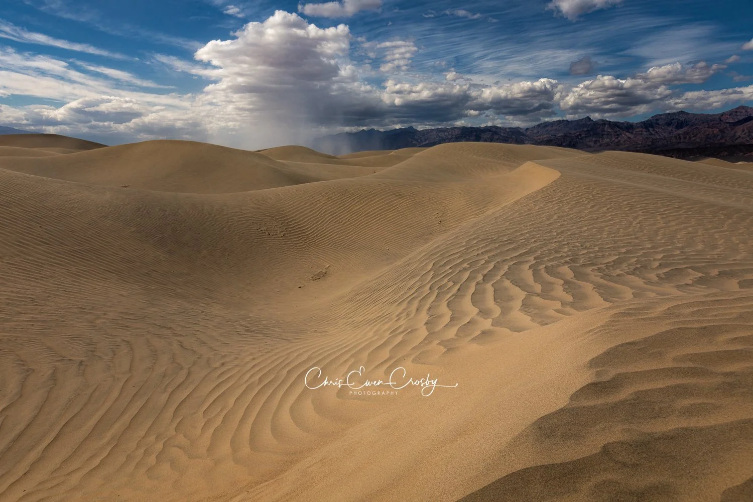 A horizontal landscape photograph of wind-formed ripples on a sand dune at Mesquite Flat in Death Valley, showing deep textures and soft golden light across the peaks.