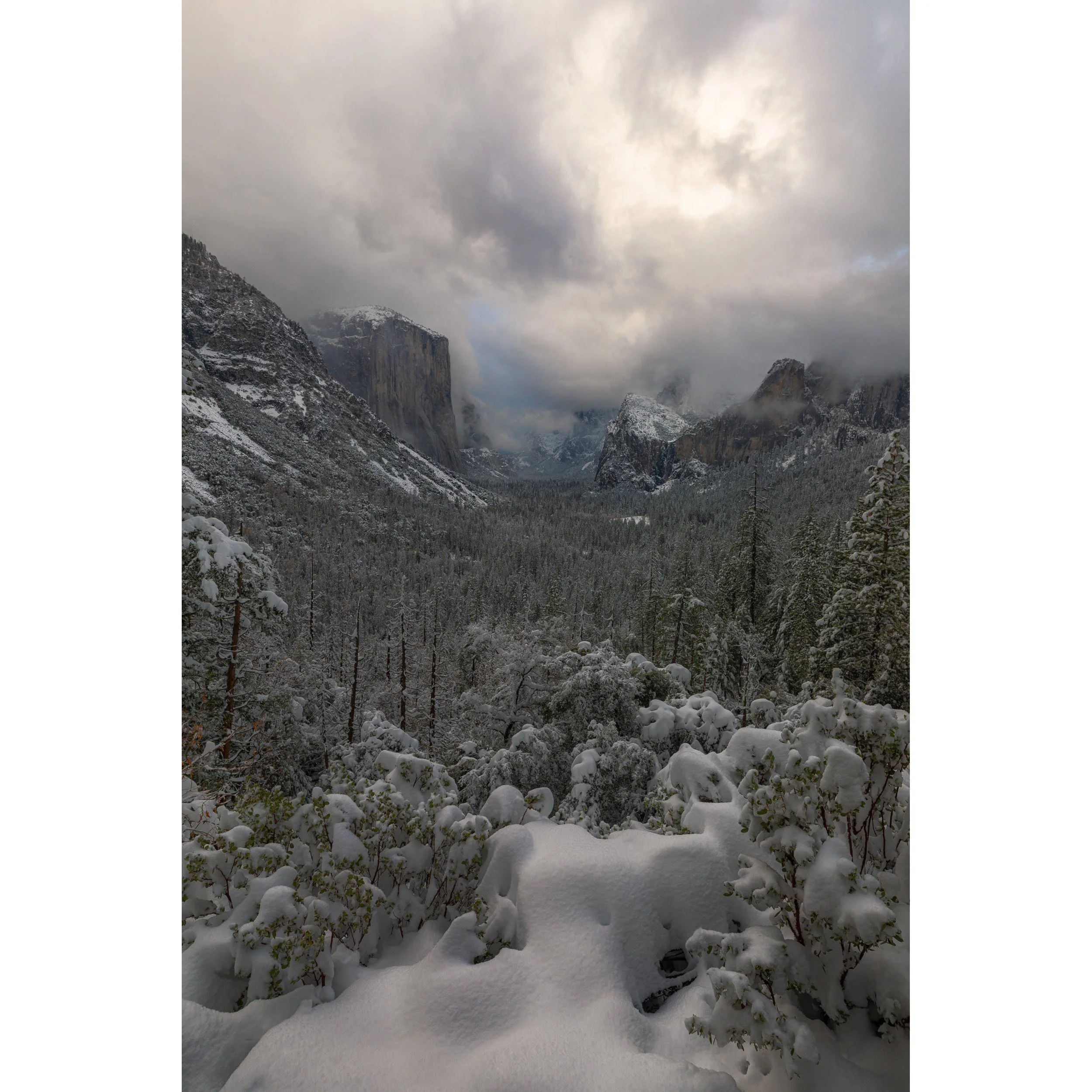 Winter Drama