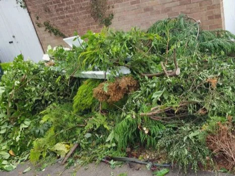 green+waste.jpg