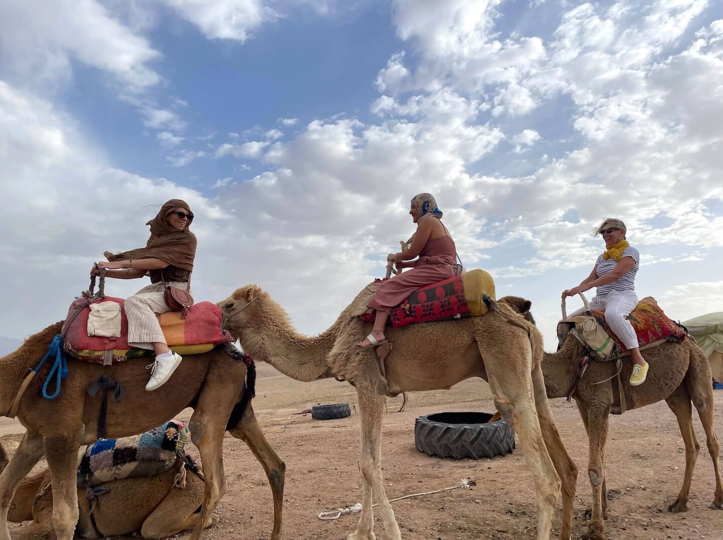 morocco_press_trip_camels_.jpg