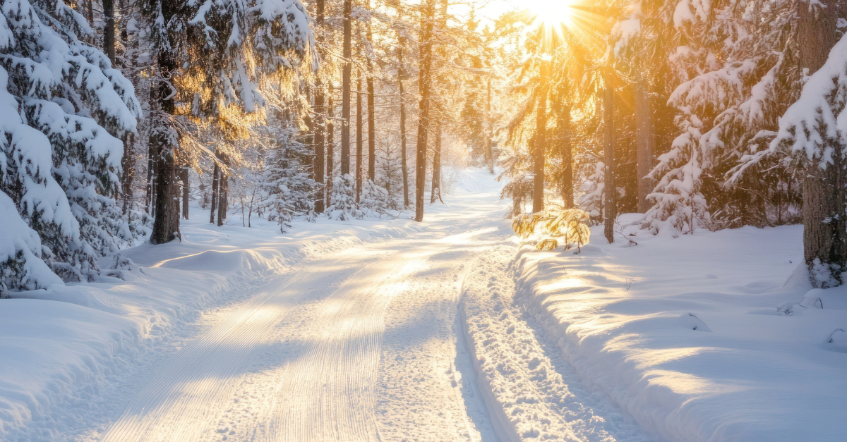 Savings Inertia: Moving Beyond the Default