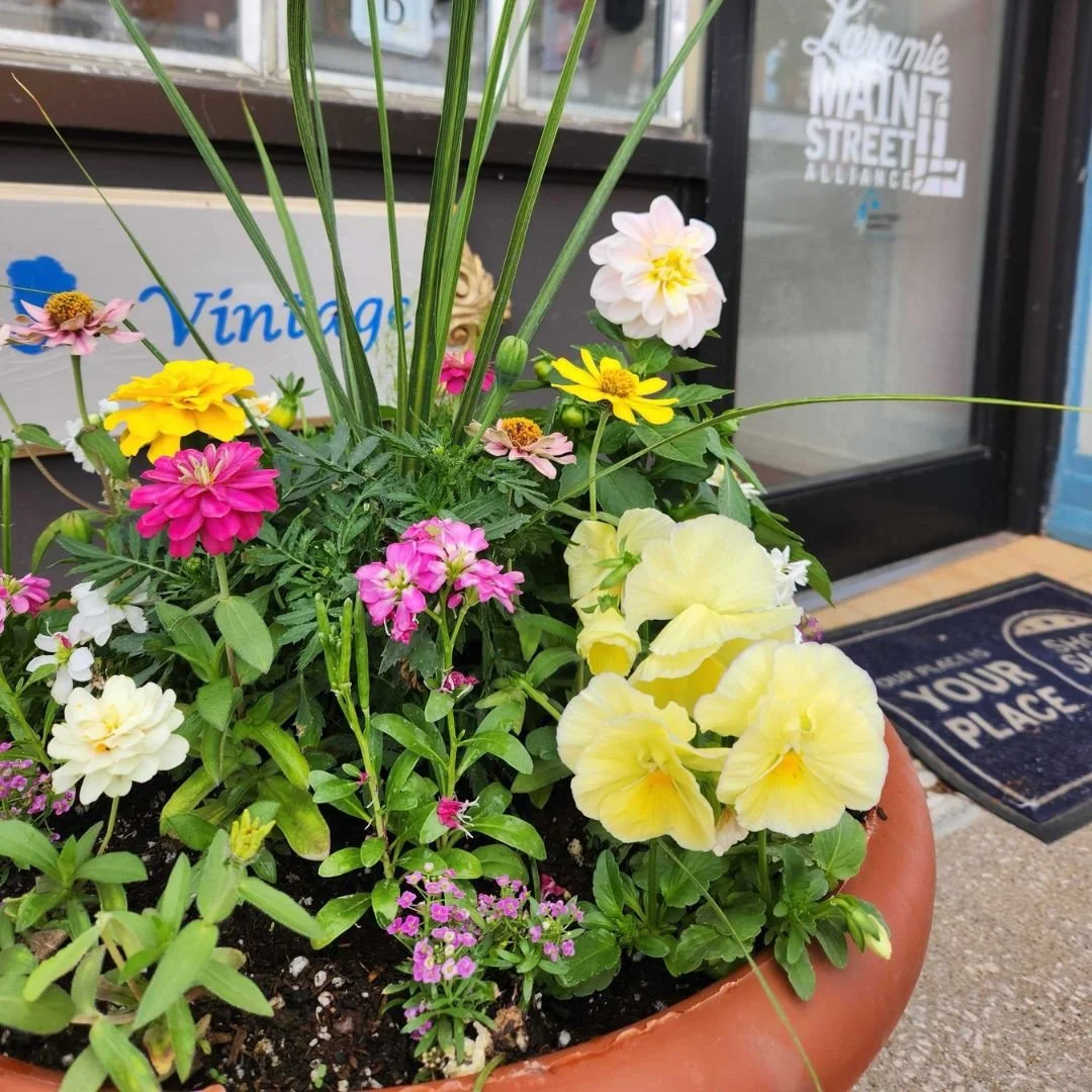 Tentative: Adopt-a-Pot orders Start  (Copy)