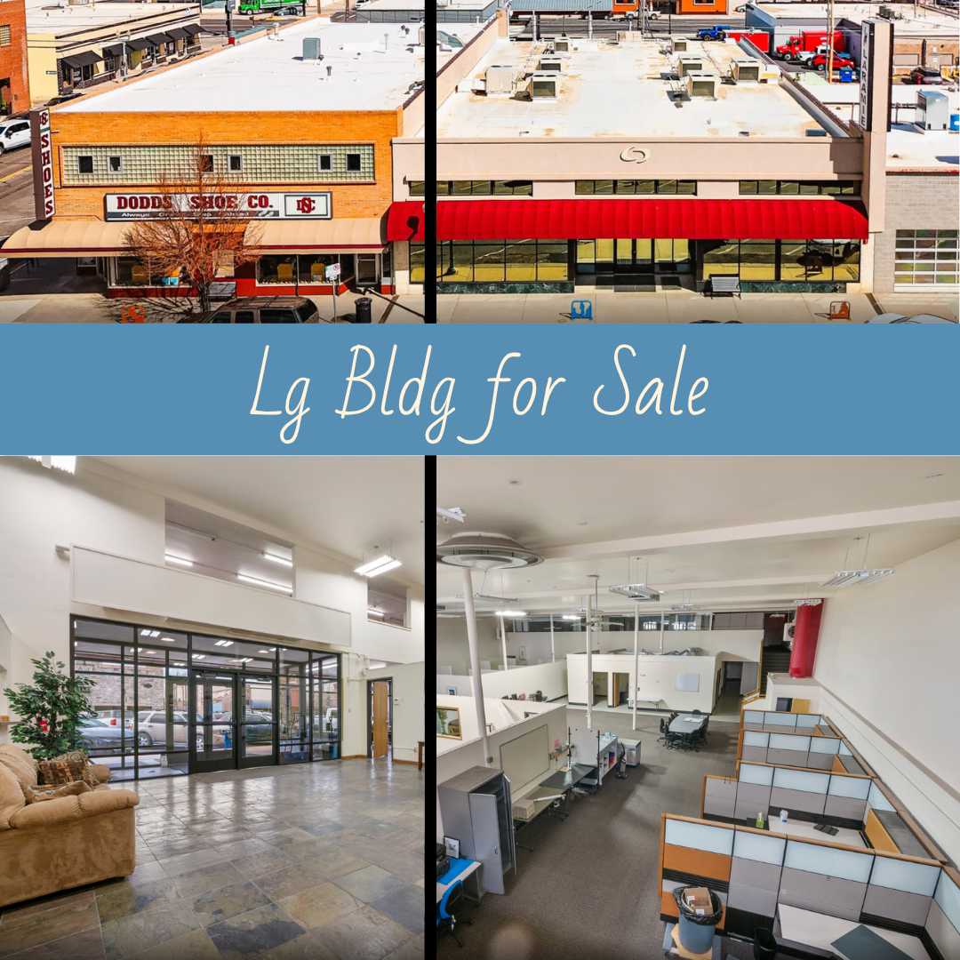 Large Commercial Bldg for Sale