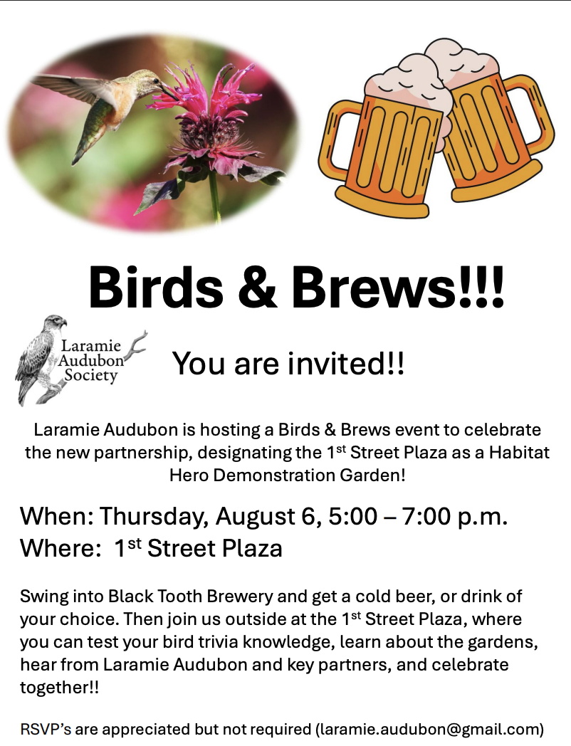 Birds &amp; Brews