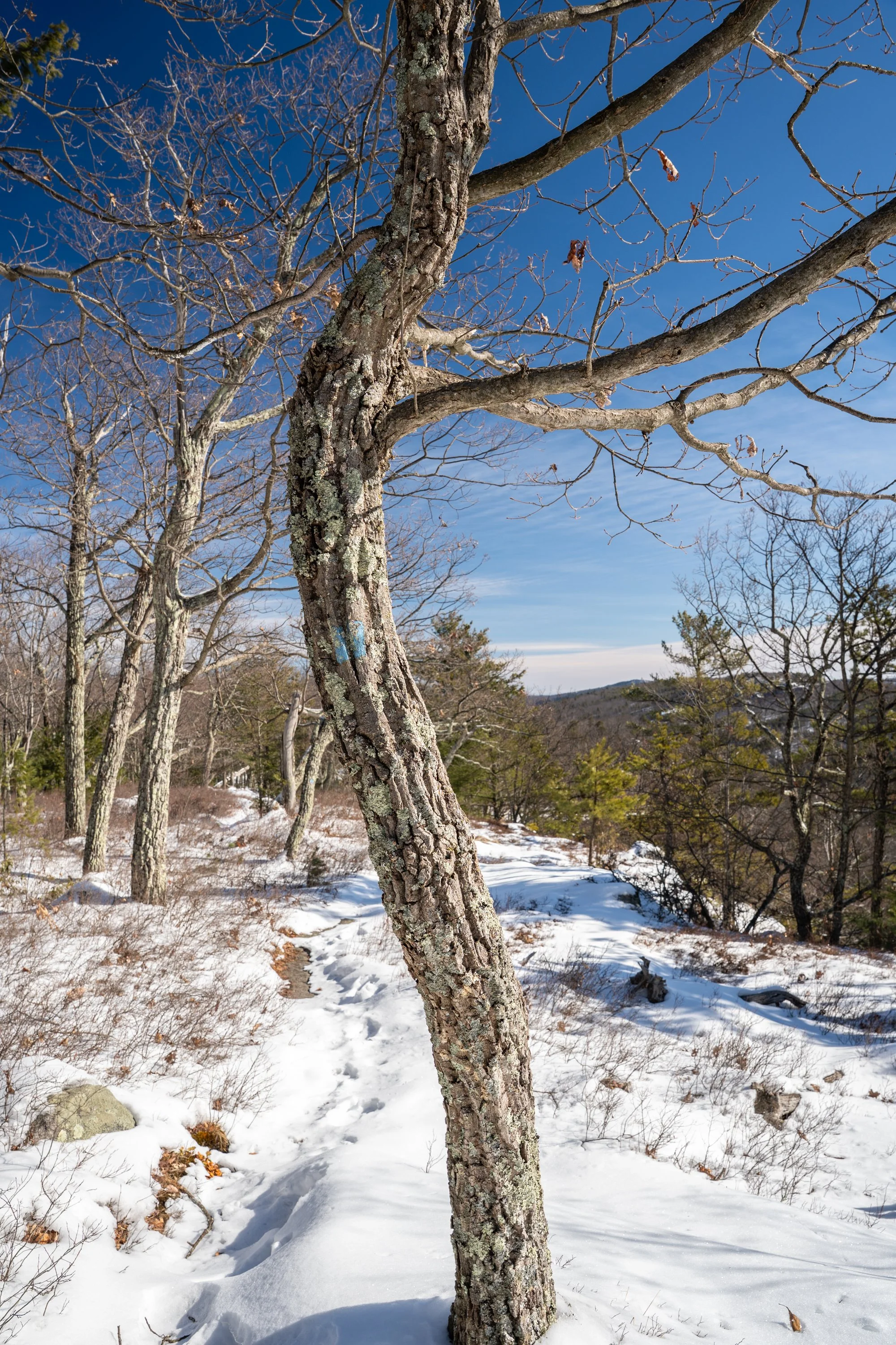 20250222_Girl Gotta Hike_High Peter's Kill + Awosting Falls Loop_010.jpg
