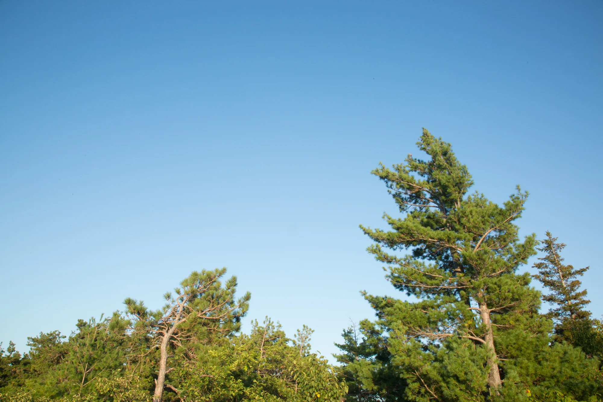 20150905_Catskills_Labor Day with Doni Diana Eric_053.jpg