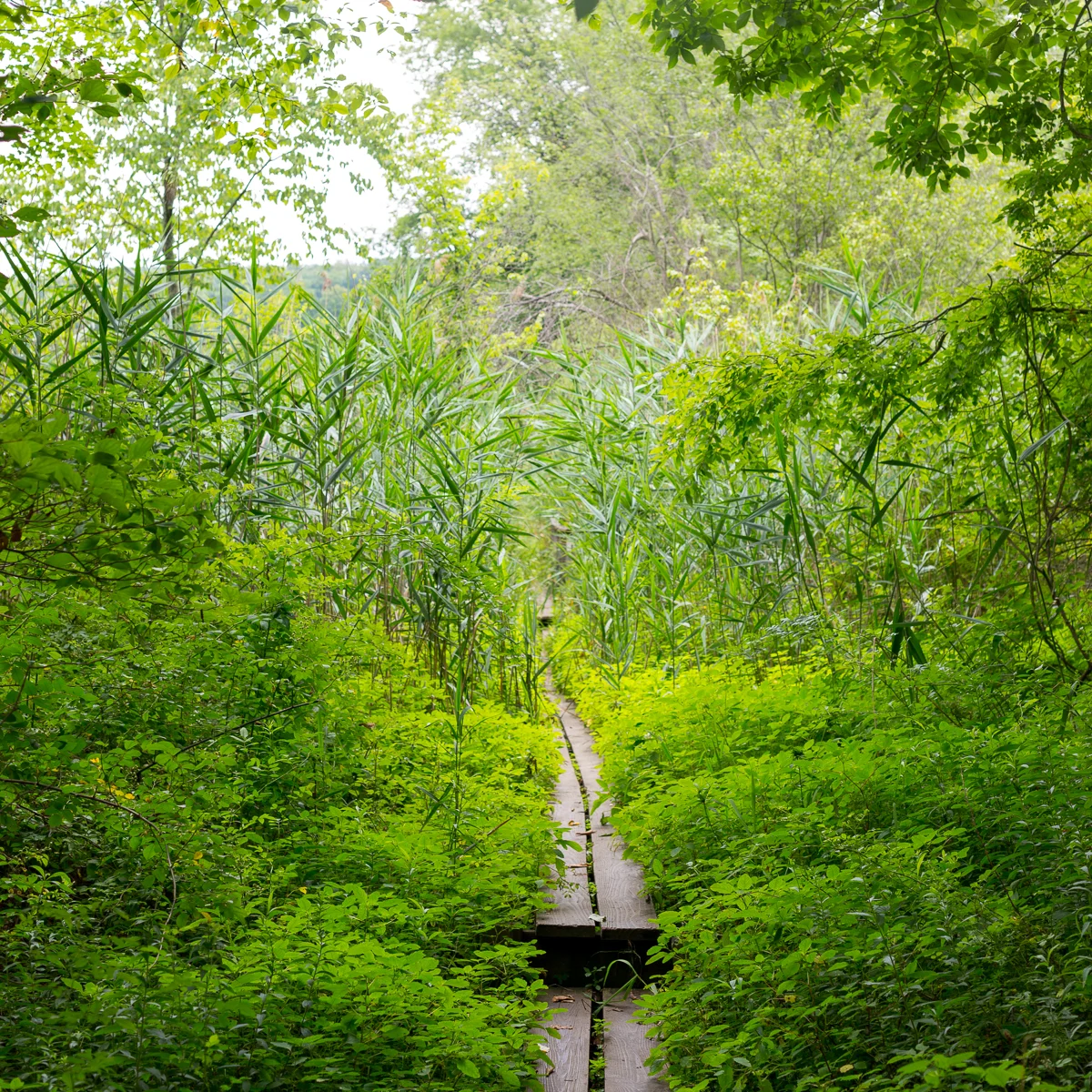 20150720_AT NY with Shutter_017.jpg