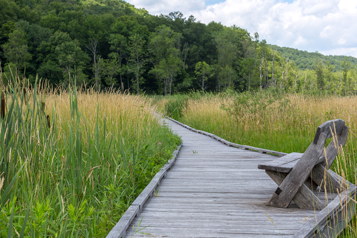 20150720_AT NY with Shutter_003.jpg