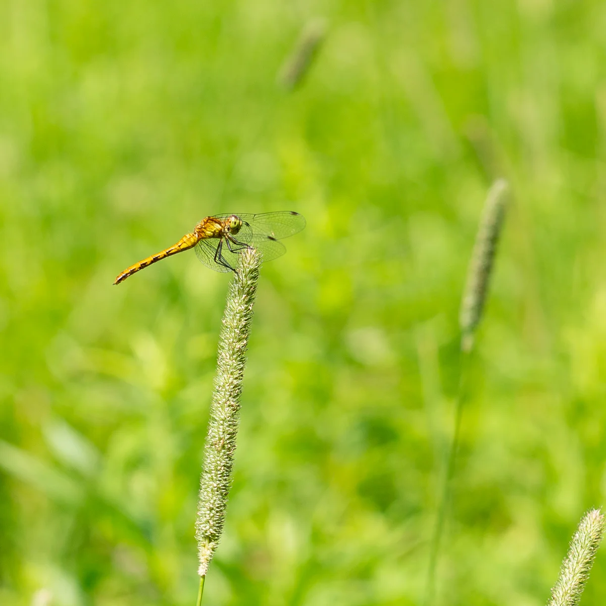 20150720_AT NY with Shutter_008.jpg