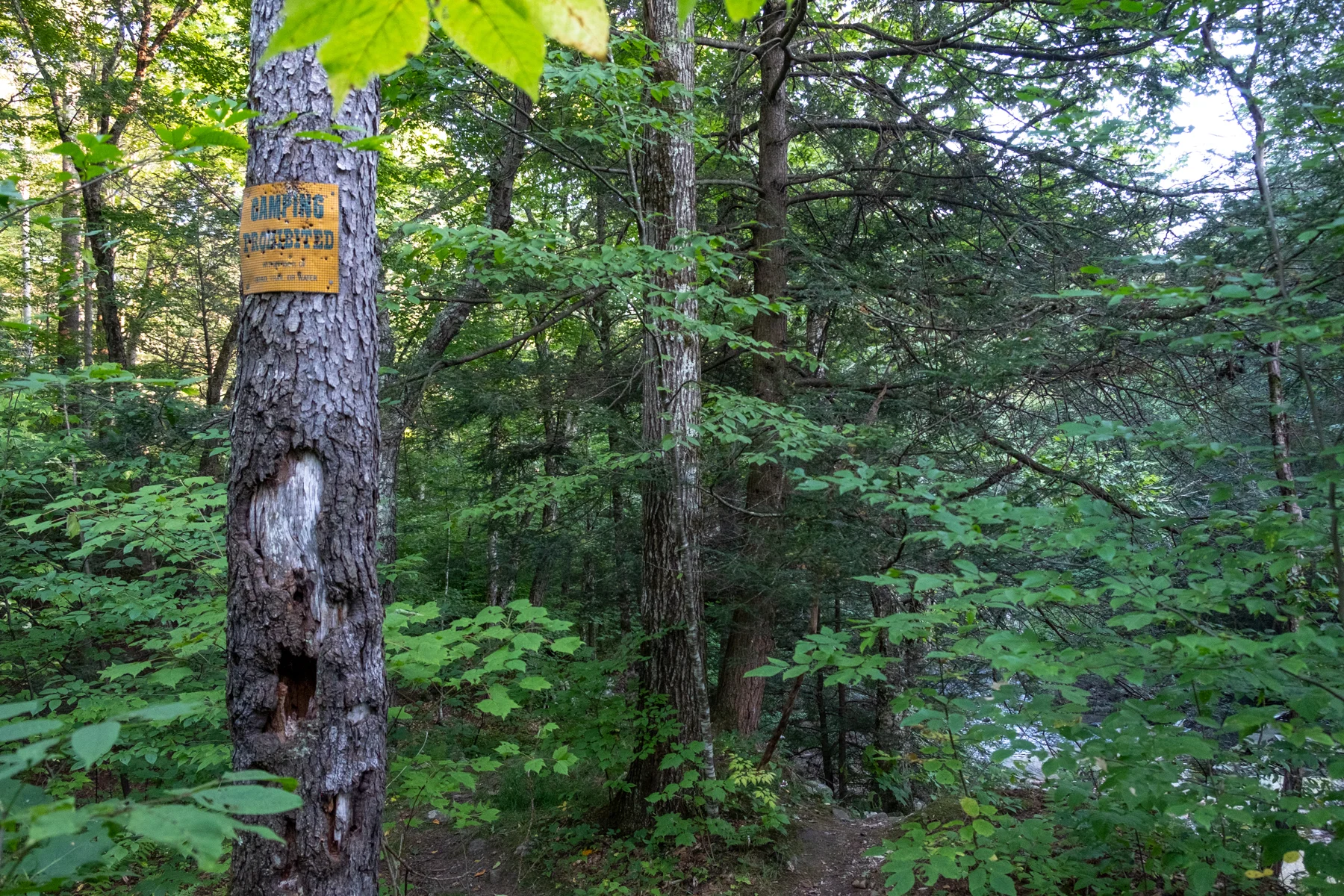 20180829_Catskills_Vernoy Falls with Doni_0023.jpg