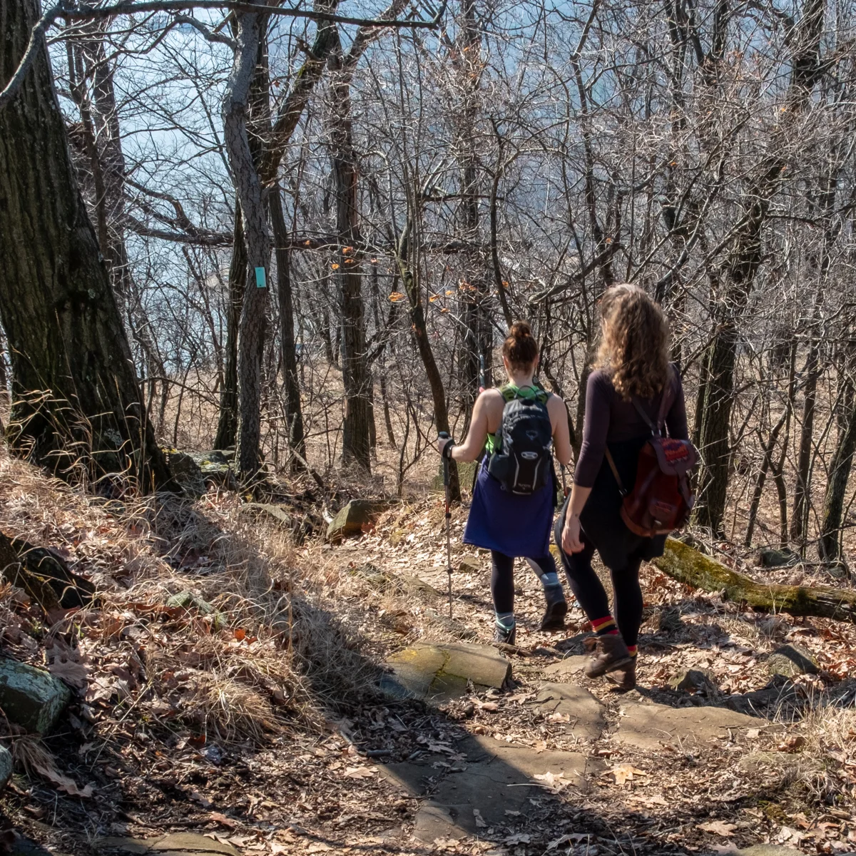 20180221_Hook Mountain Nyack_0007-2.jpg