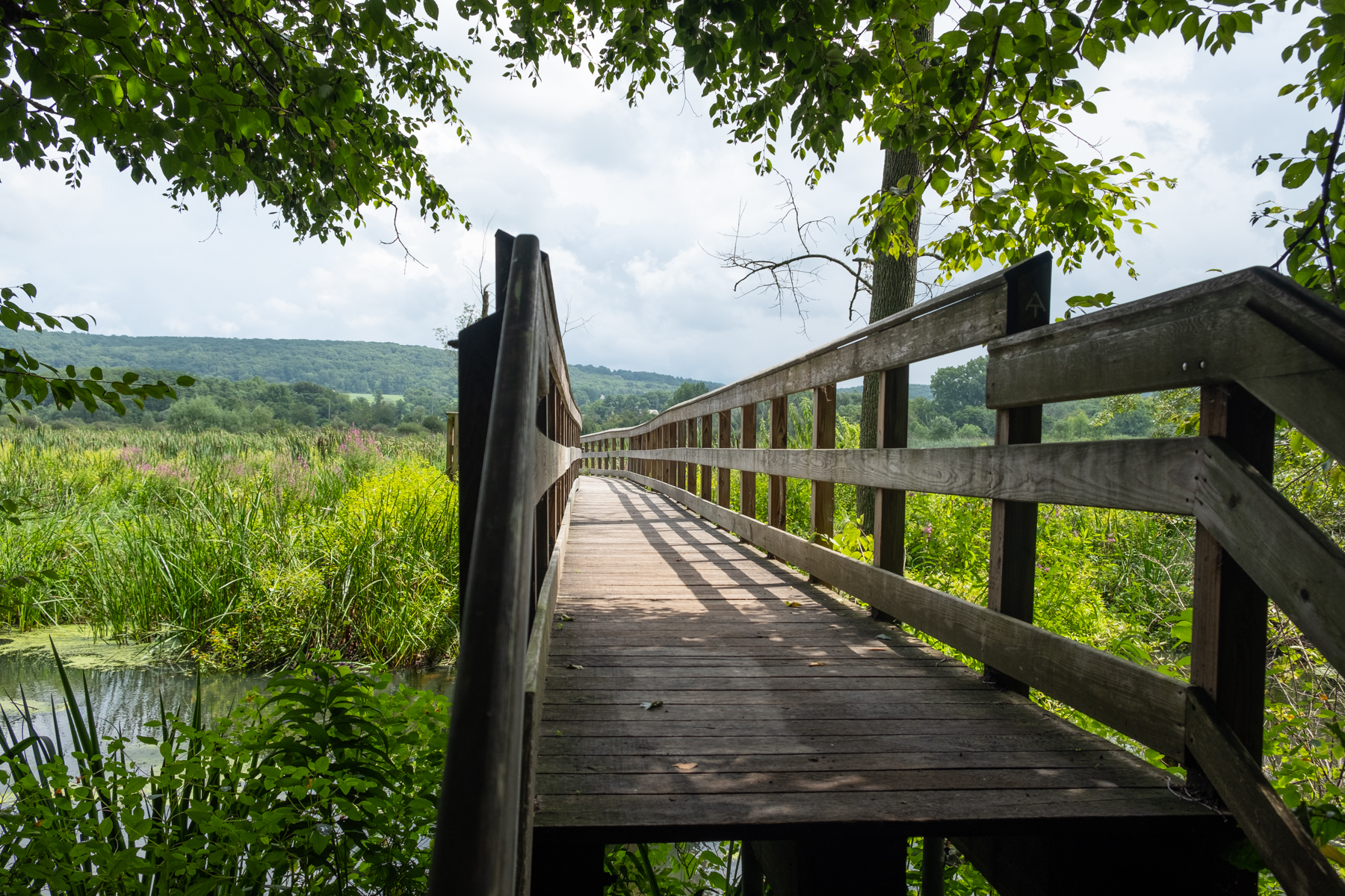 20180818_GGH_Public Transit Hike_Pawling_0017.jpg