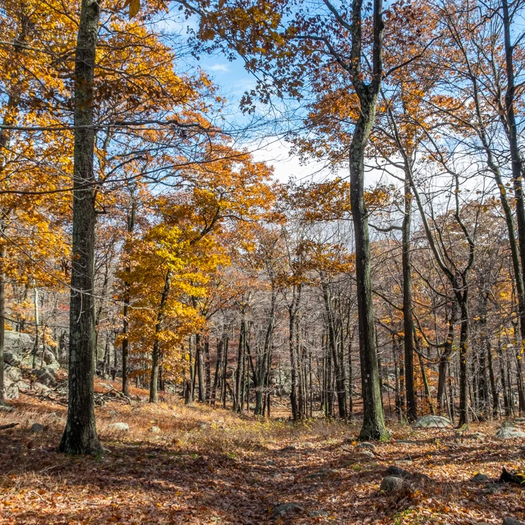 20181103_Hiking_Girl Gotta Hike_Harriman History_015.jpg
