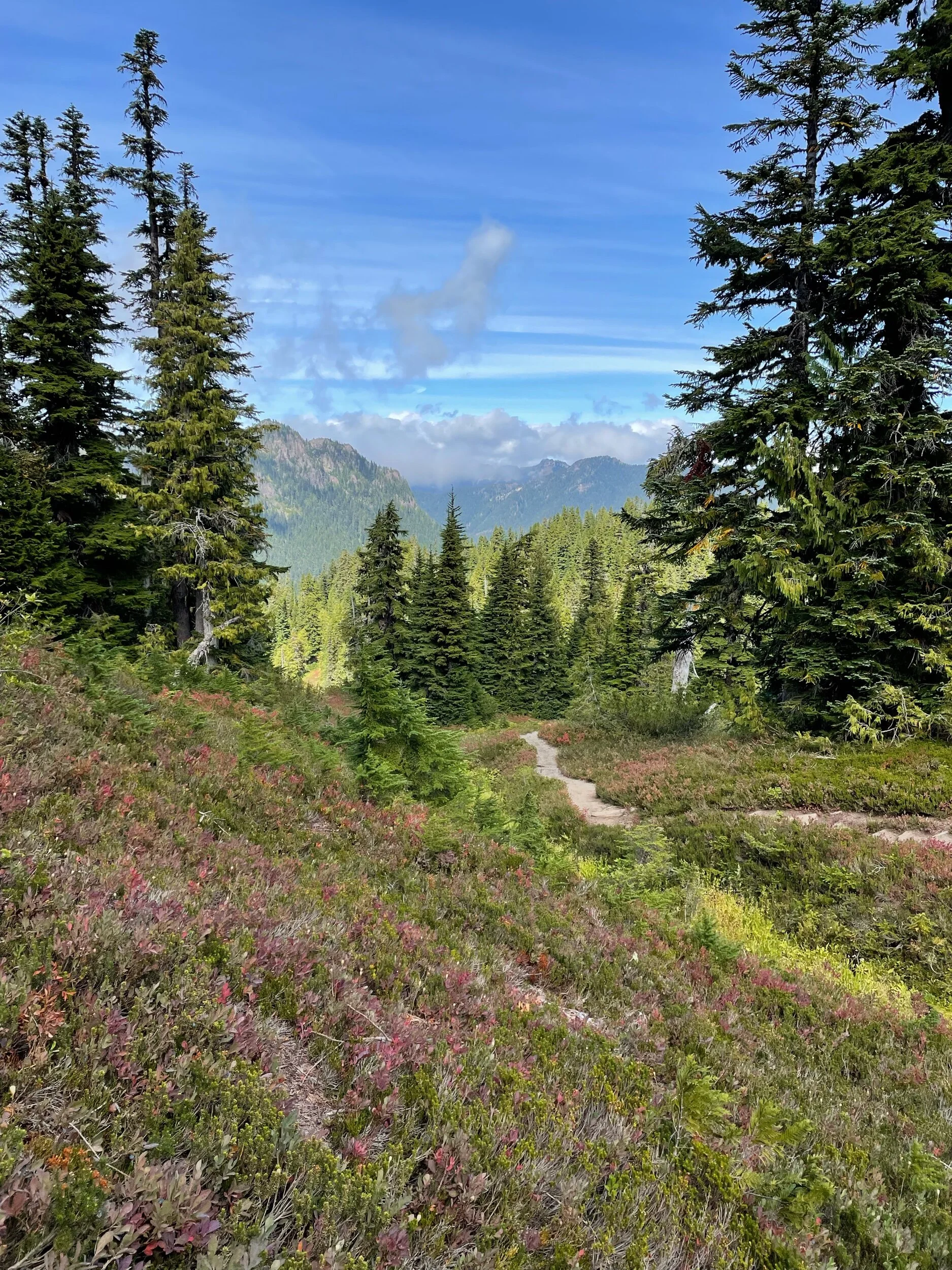 Wonderland Trail, Part 1