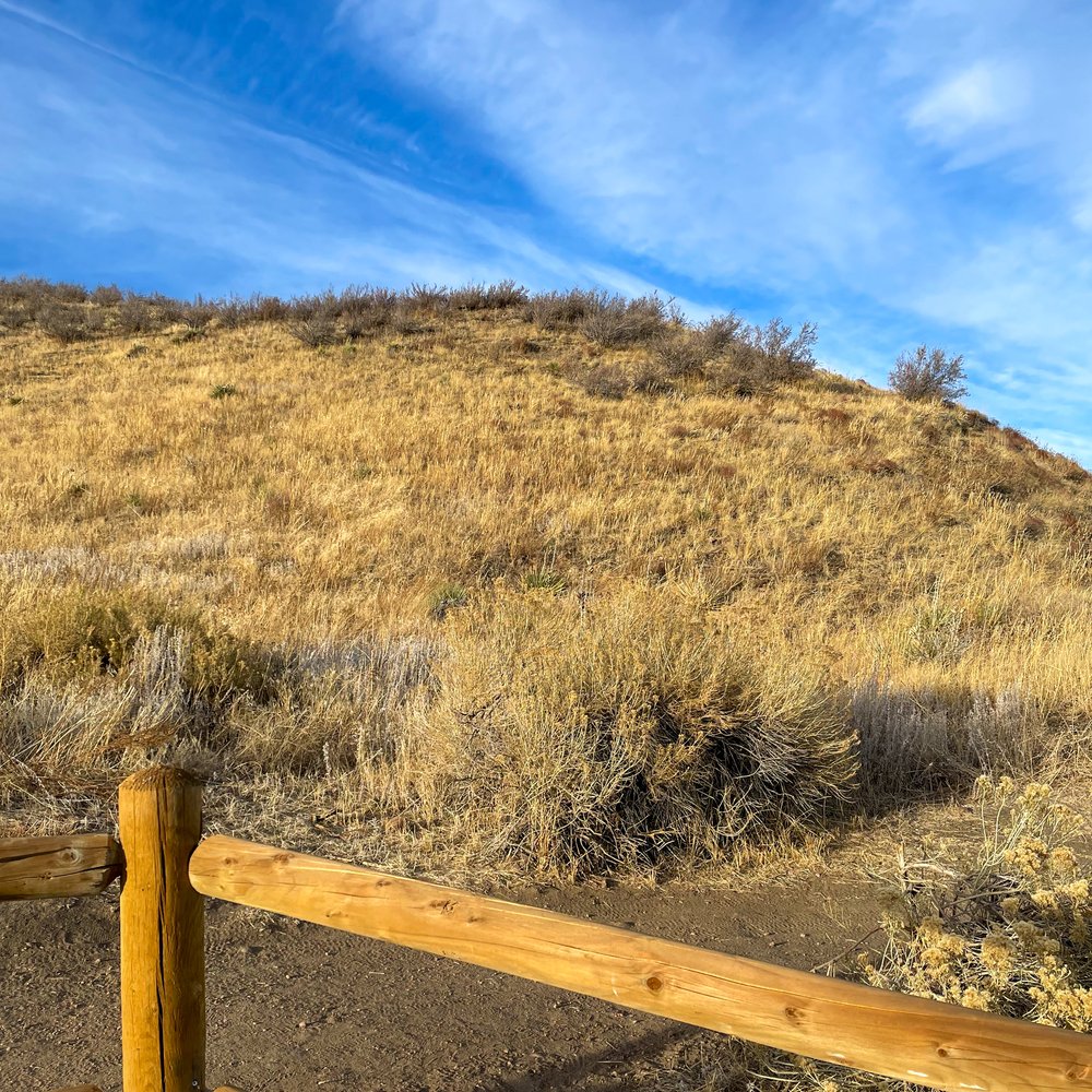 20211126_GGH_Denver hike with Juliana Chauncey_0005.jpg