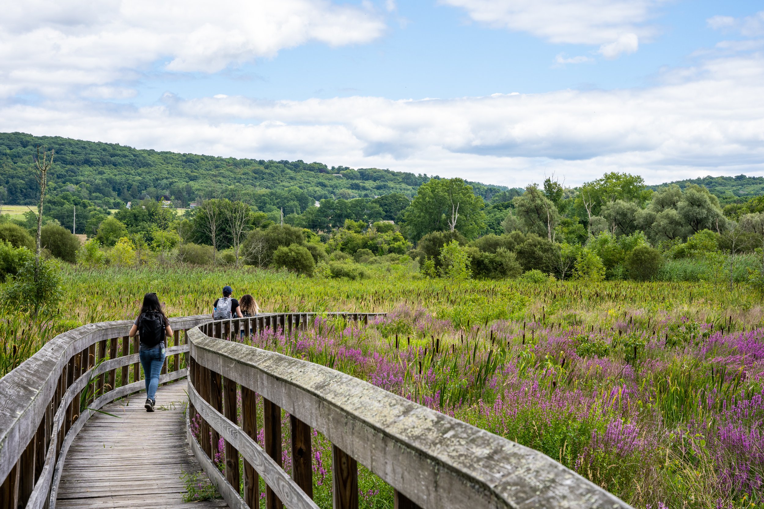 20220813_GGH_Public Transit Series_Appalachian Trail_0026.jpg