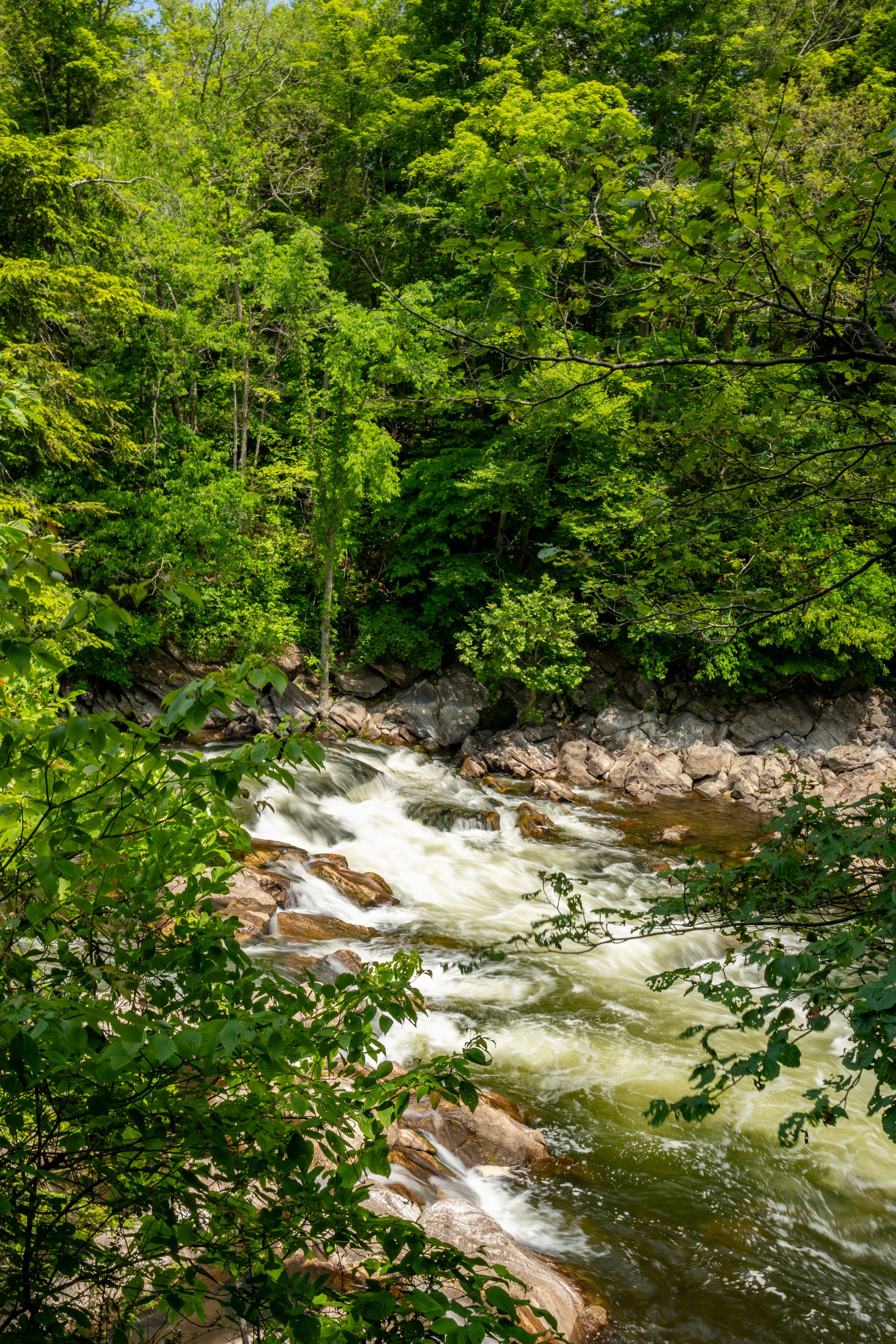 20240621_AT Section Hike_Connecticut South_031.jpg
