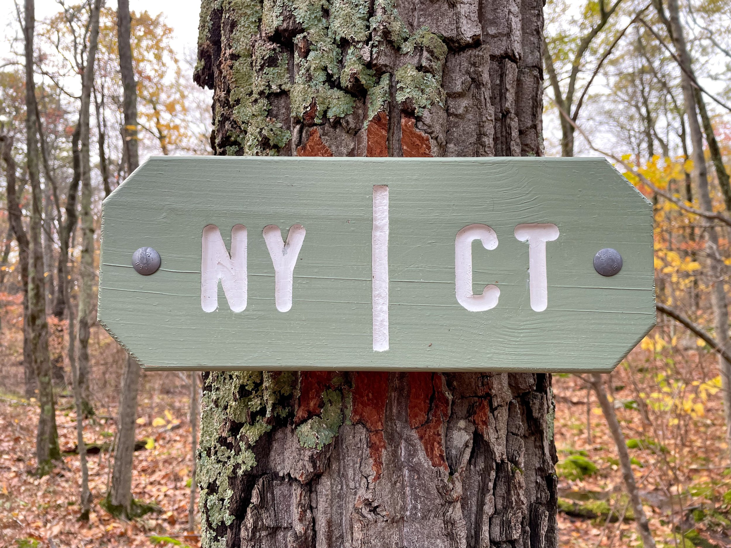 20211027_Liz Forkel_Appalachian Trail in CT_0044.jpg