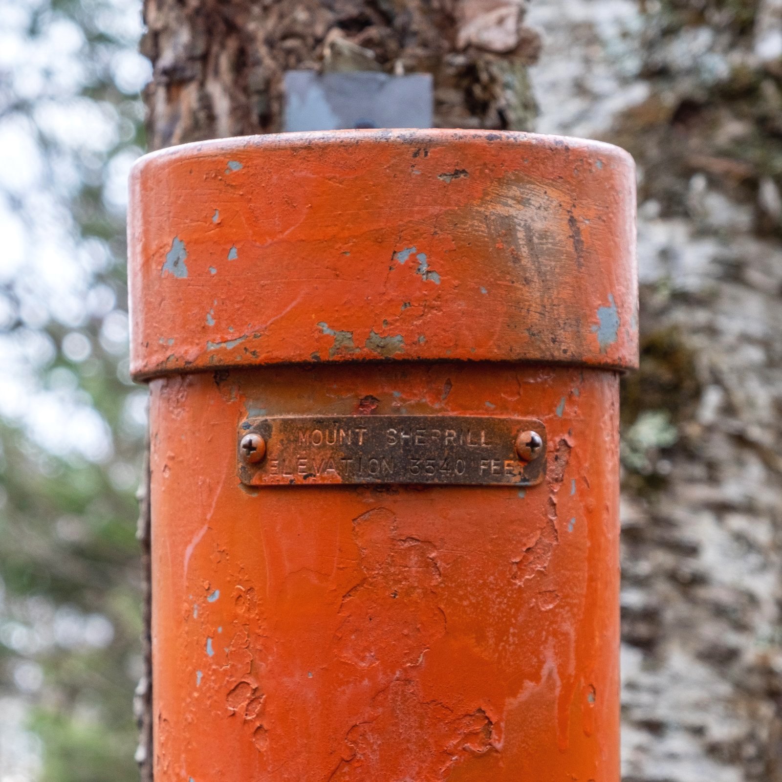 20201121_Catskills+Bushwhack_Mount+Sherrill_0034.jpg