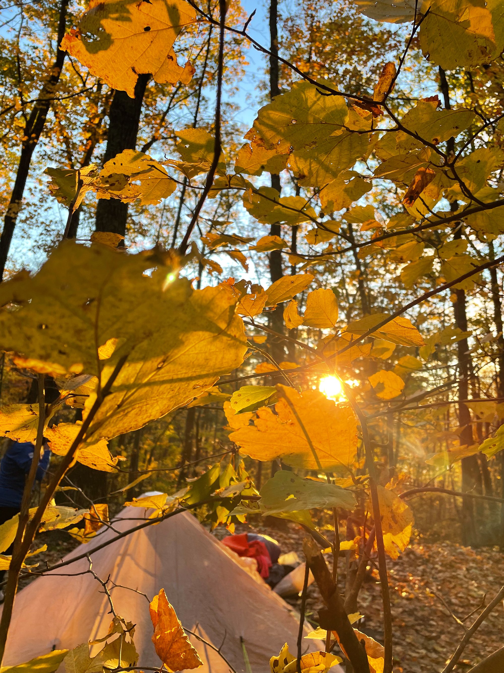 20211028_Liz Forkel_Appalachian Trail in CT_0062.jpg