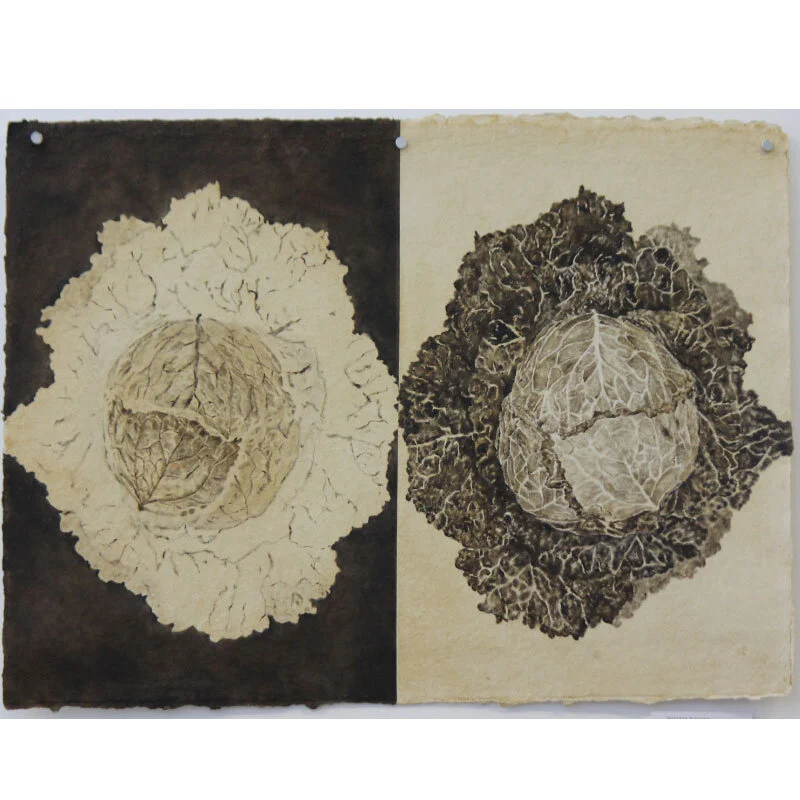 UNTITLED, CABBAGE