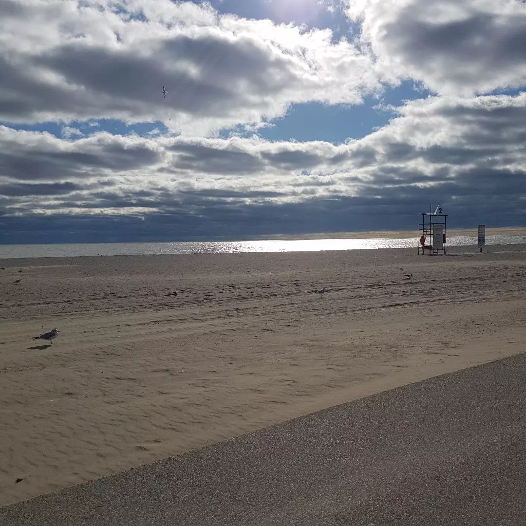 Port Stanley on Sunday afternoon.

Check out this hilarious instagram account

https://www.instagram.com/nytimescookingcomments/?hl=en